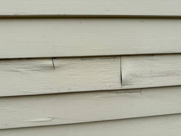 Best Historical Building Siding Restoration  in Montclair, VA